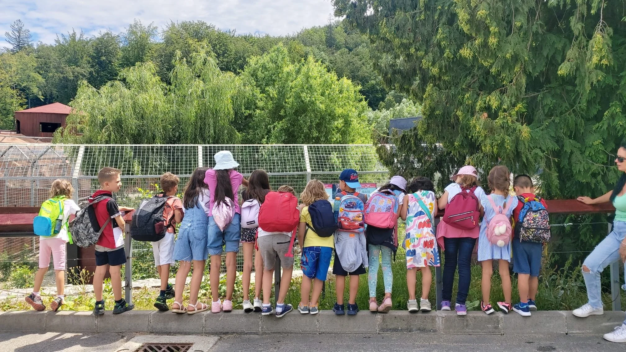 La zoo La zoo